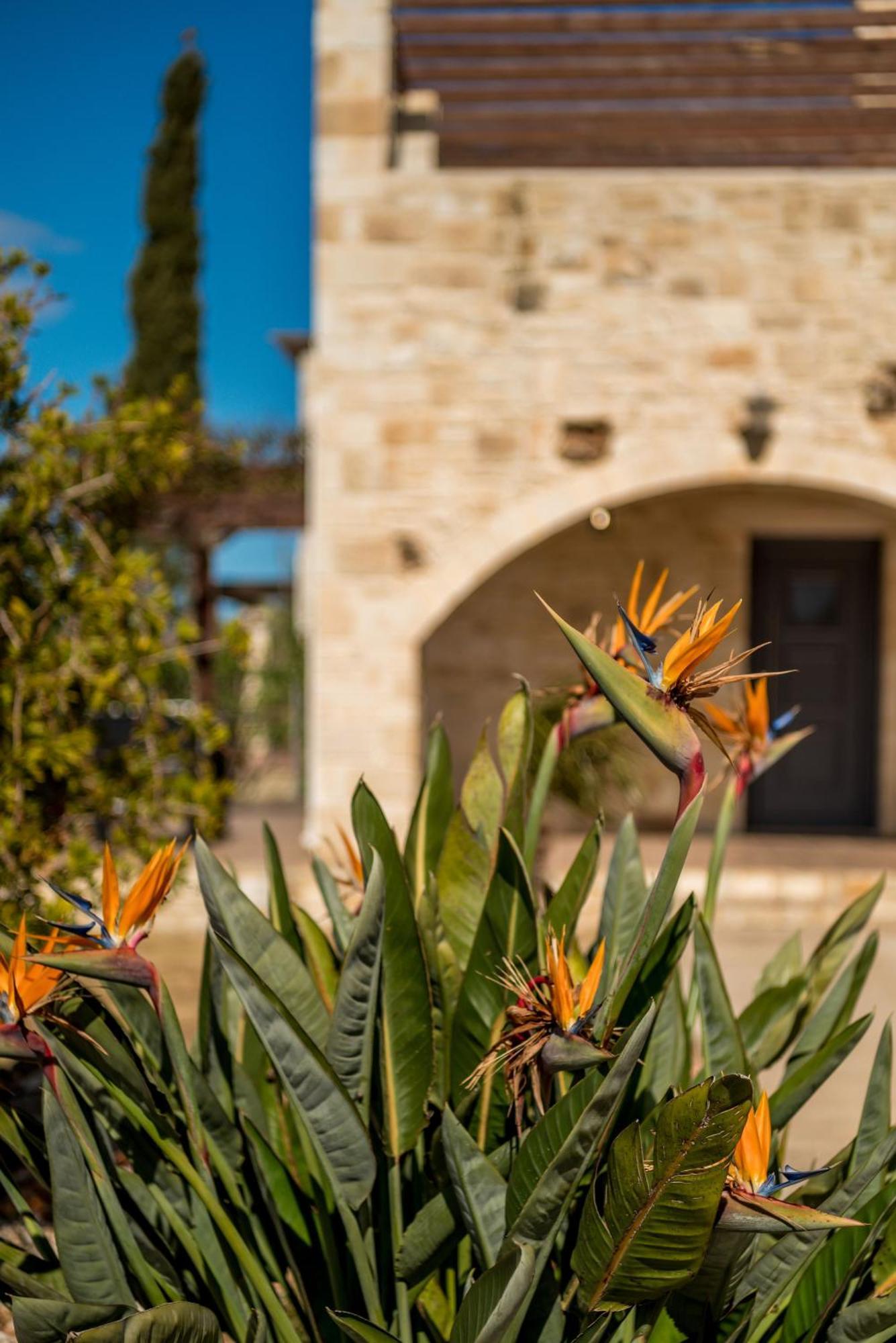 Villa Gloria Seaview - Luxury & Family Kokkino Chorio Exteriör bild